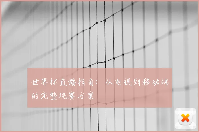世界杯直播指南：从电视到移动端的完整观赛方案