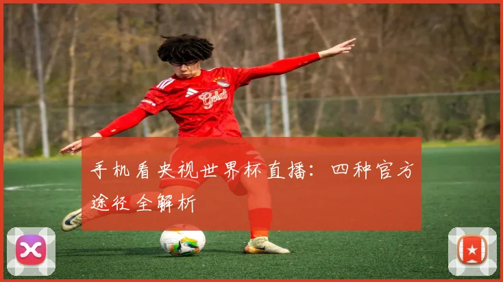 手机看央视世界杯直播：四种官方途径全解析