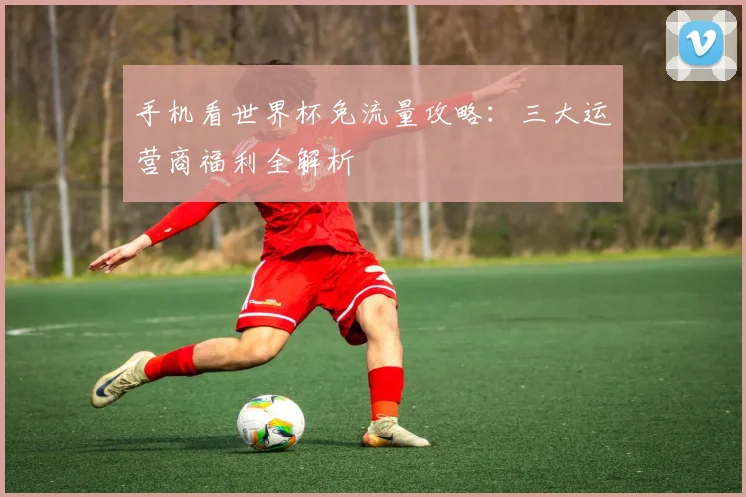 手机看世界杯免流量攻略：三大运营商福利全解析
