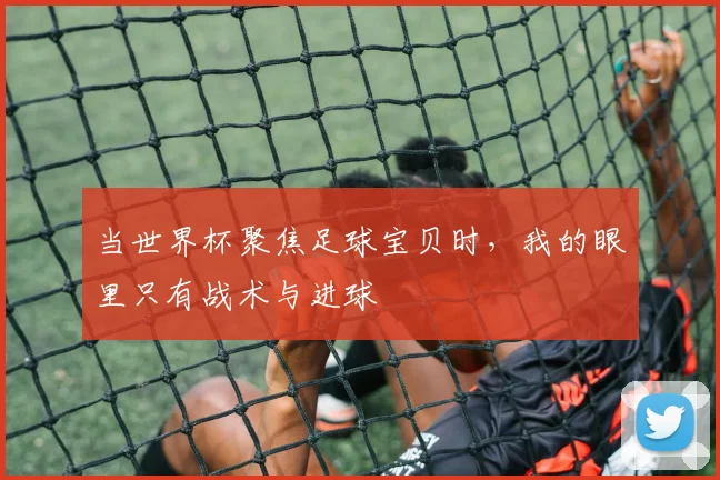 当世界杯聚焦足球宝贝时，我的眼里只有战术与进球