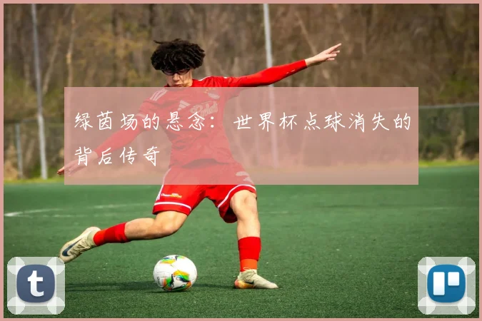 绿茵场的悬念：世界杯点球消失的背后传奇