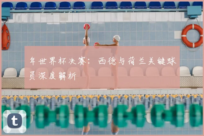 年世界杯决赛：西德与荷兰关键球员深度解析