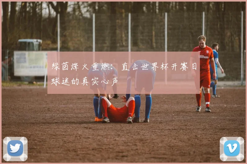 绿茵烽火重燃：直击世界杯开赛日球迷的真实心声