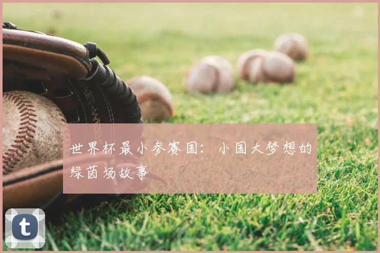 世界杯最小参赛国：小国大梦想的绿茵场故事