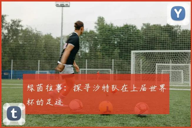 绿茵往事：探寻沙特队在上届世界杯的足迹